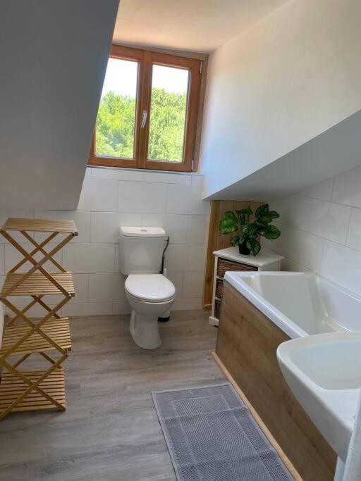 Spacious 1 Bed Home With Shared Pool Champagnac-la-Riviere Bagian luar foto